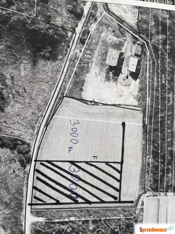 Działka siedlisko Bachowice sprzedam, pow. 3000 m2  (30a)