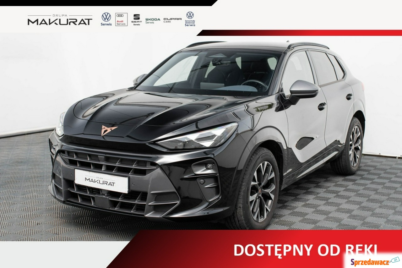 Cupra Terramar 2024