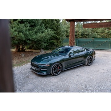 Ford Mustang  Coupe/Sportowy 2019,  5.0 benzyna - Na sprzedaż za 169 777 zł - Ropczyce - zdjęcie 3