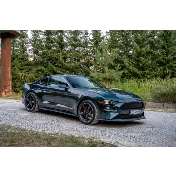 Ford Mustang  Coupe/Sportowy 2019,  5.0 benzyna - Na sprzedaż za 169 777 zł - Ropczyce - zdjęcie 10