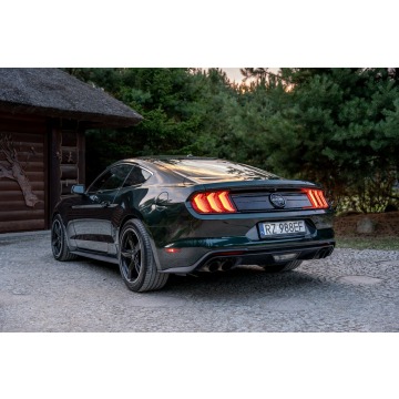 Ford Mustang  Coupe/Sportowy 2019,  5.0 benzyna - Na sprzedaż za 169 777 zł - Ropczyce - zdjęcie 11