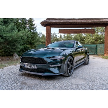Ford Mustang  Coupe/Sportowy 2019,  5.0 benzyna - Na sprzedaż za 169 777 zł - Ropczyce - zdjęcie 12