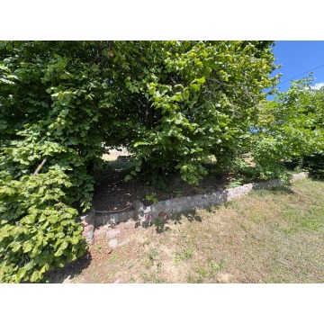 Działka rekreacyjna Gorzów Wielkopolski sprzedam, pow. 368 m2  (3.7a), uzbrojona - zdjęcie 8