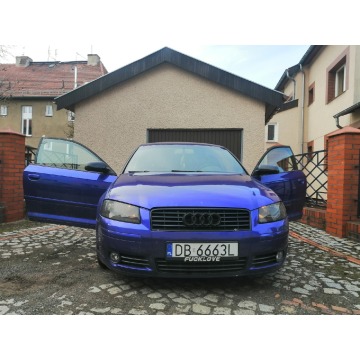 Audi A3 8P-Polecam