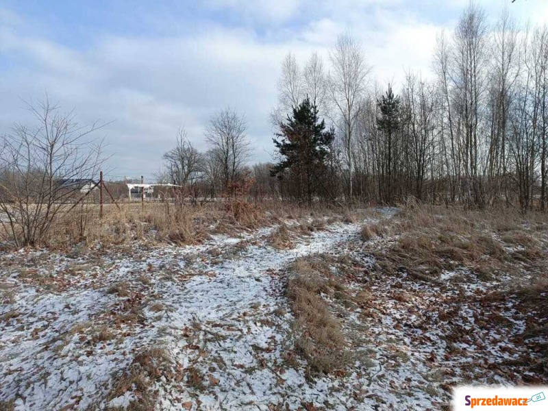 Konkurs ofert - Działki na sprzedaż - Chocianów