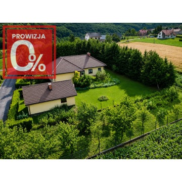 Sprzedam dom Lichwin - ,  pow.  120 m2,  działka:   4000 m2 - zdjęcie 1