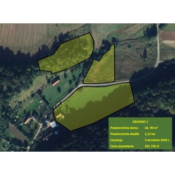 Sprzedam dom Grudno -  wolnostojący,  pow.  90 m2,  działka:   21 200 m2 - zdjęcie 2