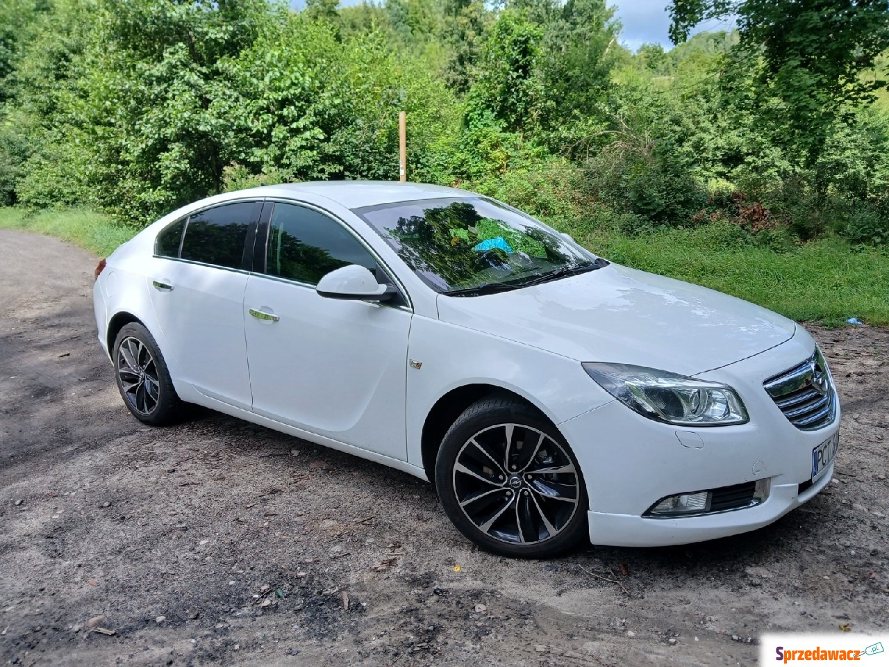 Opel Insignia 2013