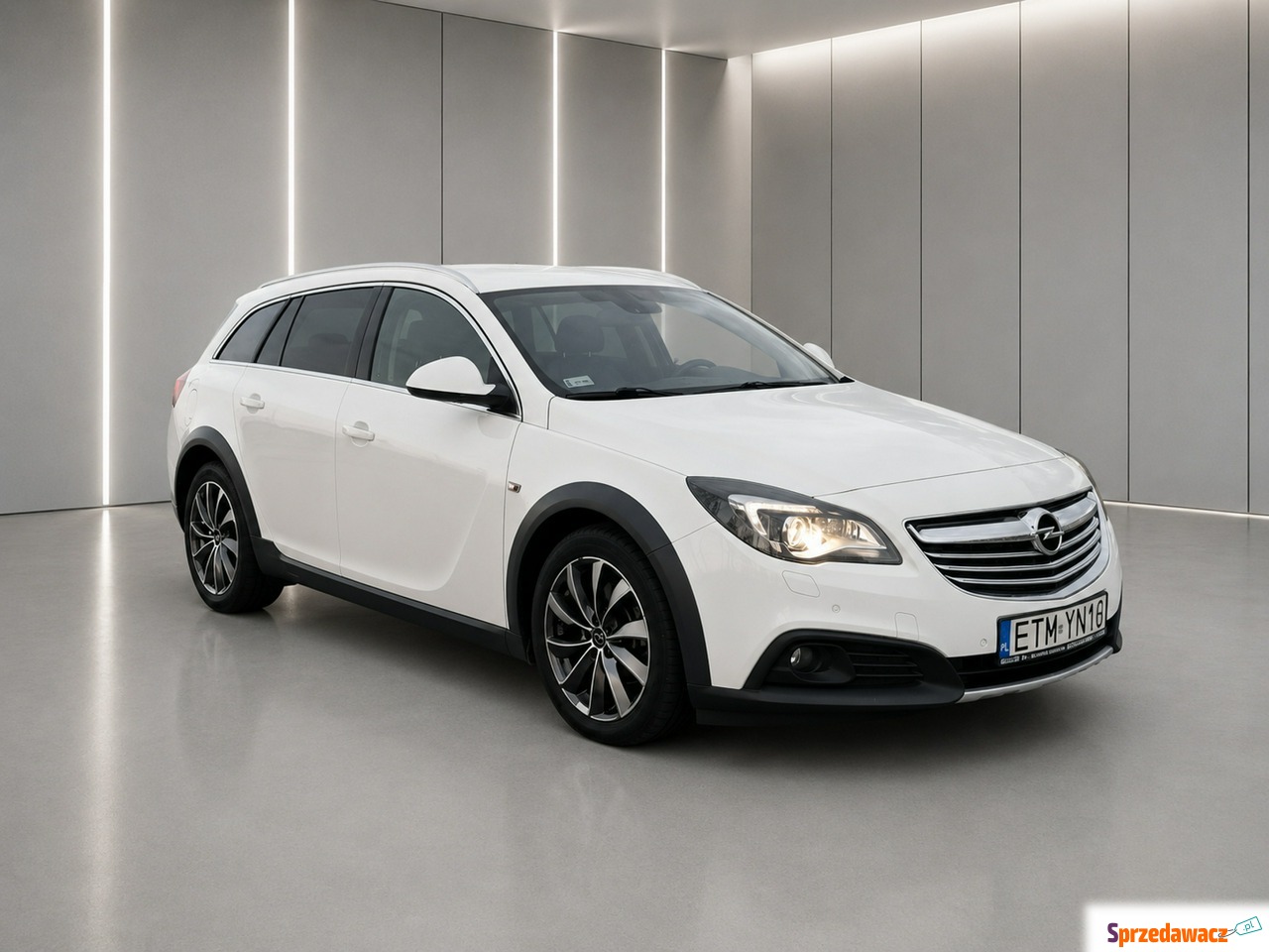 Opel Insignia 2013