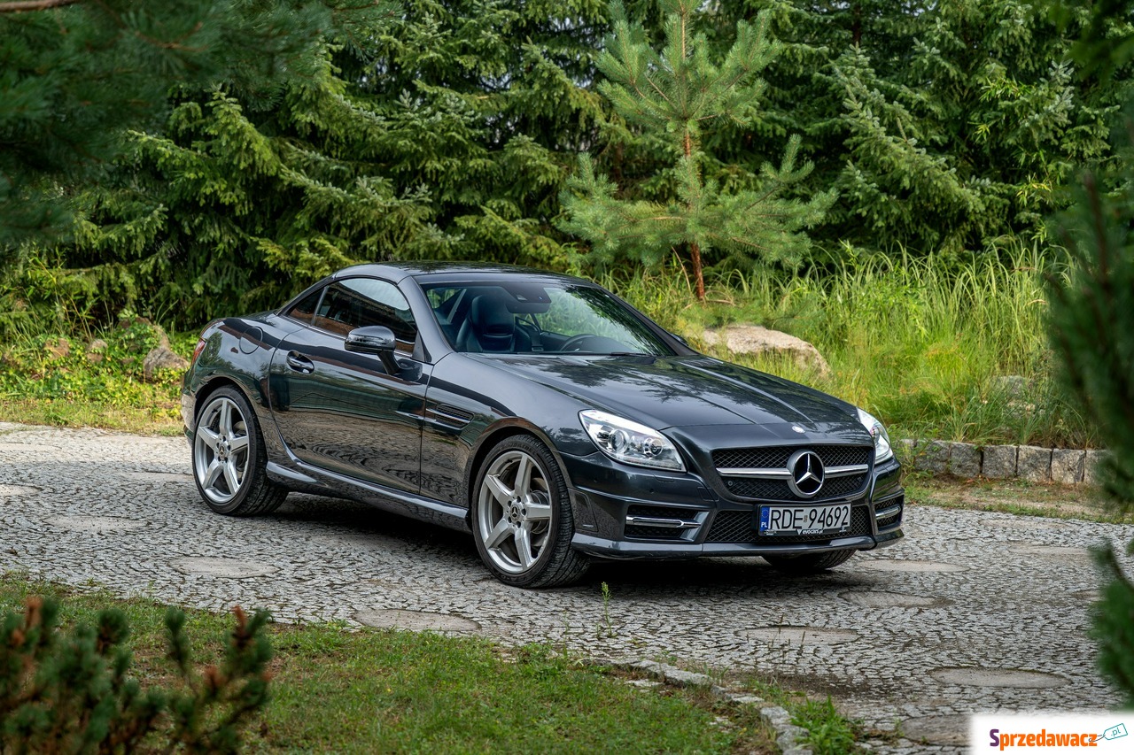 Mercedes - Benz SLK-klasa 2013
