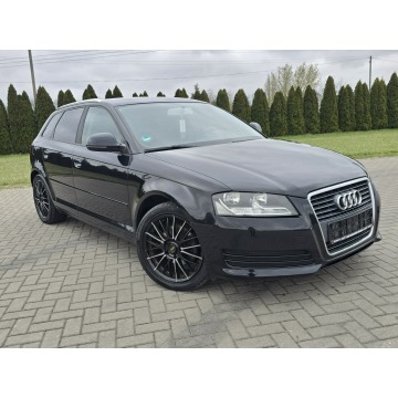 Audi A3  Hatchback 2009,  1.4 benzyna, automat - Na sprzedaż za 19 900 zł - Kutno - zdjęcie 2