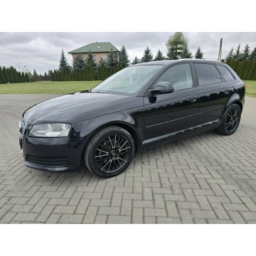Audi A3  Hatchback 2009,  1.4 benzyna, automat - Na sprzedaż za 19 900 zł - Kutno - zdjęcie 7