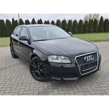 Audi A3  Hatchback 2009,  1.4 benzyna, automat - Na sprzedaż za 19 900 zł - Kutno - zdjęcie 4