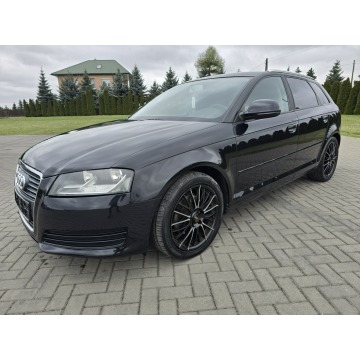 Audi A3  Hatchback 2009,  1.4 benzyna, automat - Na sprzedaż za 19 900 zł - Kutno - zdjęcie 8