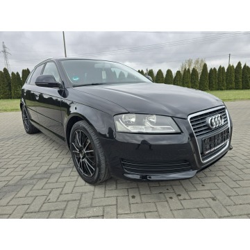 Audi A3  Hatchback 2009,  1.4 benzyna, automat - Na sprzedaż za 19 900 zł - Kutno - zdjęcie 3