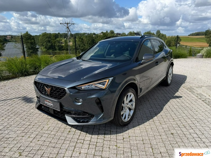 Cupra Formentor  Hatchback 2023,  2.0 diesel, automat - Na sprzedaż za 94 900 zł - Sierakowice