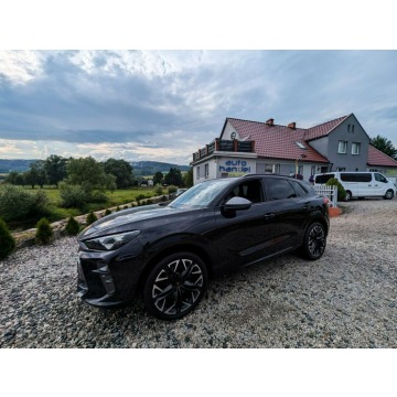 Cupra Terramar - VZ 2.0 TSI 265KM 4 Drive, Panorama, Matrix LED Kamery 360