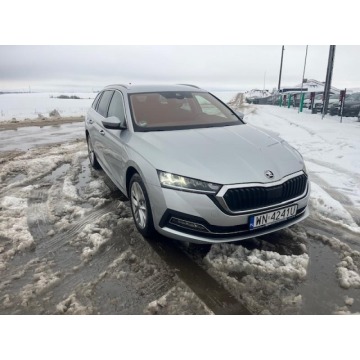 Skoda Octavia  Kombi 2023,  2.0 diesel, automat - Na sprzedaż za 89 900 zł - Chojnice - zdjęcie 3