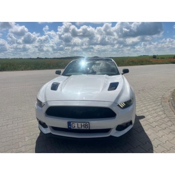 Ford Mustang  Coupe/Sportowy 2017,  5.0 benzyna, automat - Na sprzedaż za 129 000 zł - Chojnice - zdjęcie 2