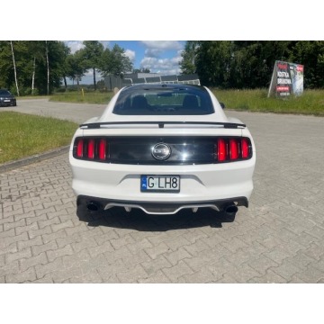 Ford Mustang  Coupe/Sportowy 2017,  5.0 benzyna, automat - Na sprzedaż za 129 000 zł - Chojnice - zdjęcie 5