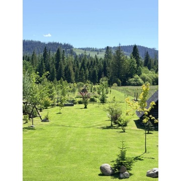 Sprzedam dom Murzasichle - ,  pow.  364 m2,  działka:   9160 m2 - zdjęcie 7