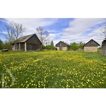 Sprzedam dom Szczyty-Nowodwory -  jednopiętrowy,  pow.  65 m2,  działka:   9824 m2 - zdjęcie 6
