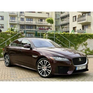 Jaguar XF - AWD R-dynamic