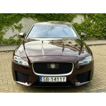 Jaguar XF  Sedan/Limuzyna 2017,  2.0 diesel, automat - Na sprzedaż za 57 000 zł - Tarnowskie Góry - zdjęcie 11