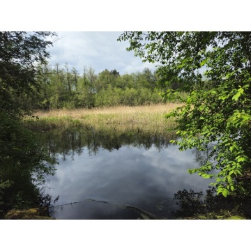 Działka inwestycyjna Ostrowina sprzedam, pow. 3012 m2  (30.1a), uzbrojona - zdjęcie 4