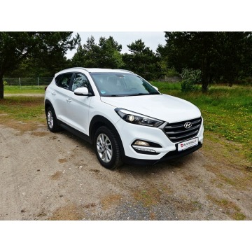 Hyundai Tucson  SUV 2015,  2.0 diesel, automat - Na sprzedaż za 49 990 zł - Piła - zdjęcie 3