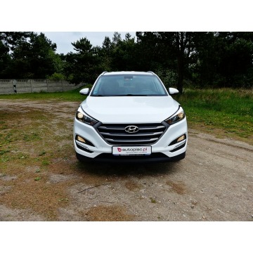 Hyundai Tucson  SUV 2015,  2.0 diesel, automat - Na sprzedaż za 49 990 zł - Piła - zdjęcie 2