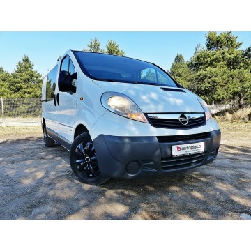 Opel Vivaro 2009,  2.0 diesel - Na sprzedaż za 15 990 zł - Piła - zdjęcie 6