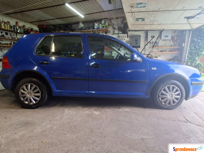 Volkswagen Golf  Hatchback 1999,  1.4 benzyna - Na sprzedaż za 5 500,00 zł - Bydgoszcz
