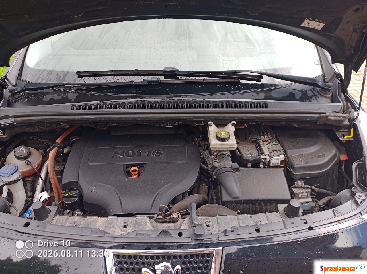 Peugeot 3008 2013