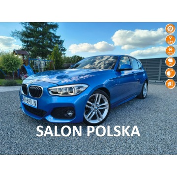 BMW 118 - SALON POLSKA Klimatronic FULL LED  Bluetooth Tempomat Alu
