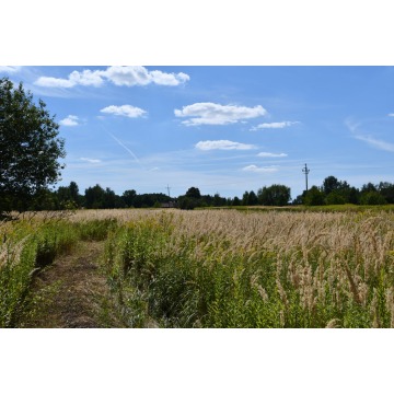 Działka rolna Strażów sprzedam, pow. 4300 m2  (43a) - zdjęcie 3