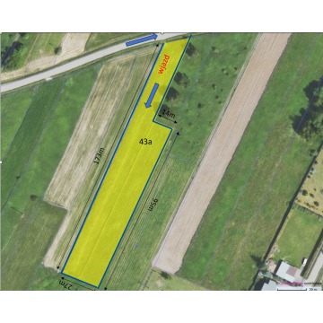Działka rolna Strażów sprzedam, pow. 4300 m2  (43a) - zdjęcie 2
