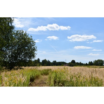 Działka rolna Strażów sprzedam, pow. 4300 m2  (43a) - zdjęcie 1