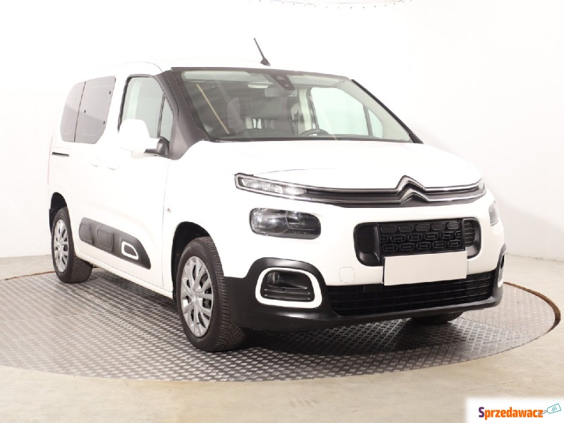 Citroen Berlingo  Pick-up 2020,  1.5 diesel - Na sprzedaż za 48 999 zł - Katowice