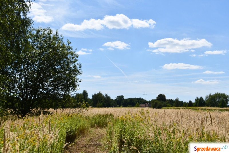Działka rolna Strażów sprzedam, pow. 4300 m2  (43a)