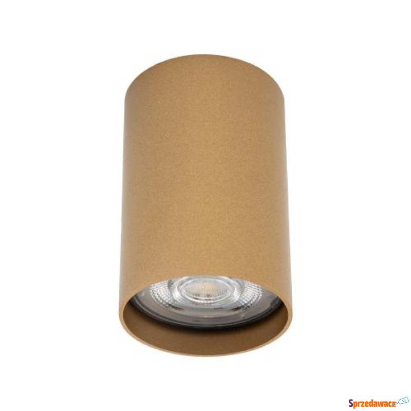 Lampa punktowa podtynkowa MONO...