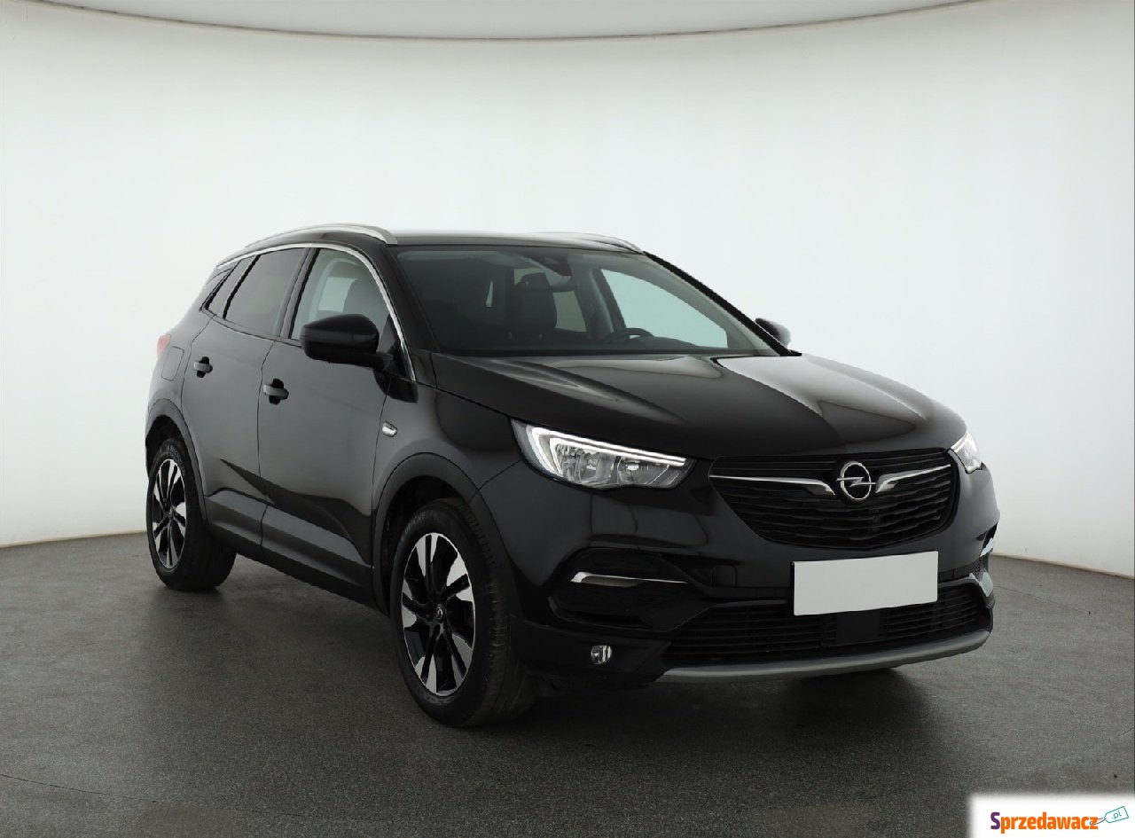 Opel 2019