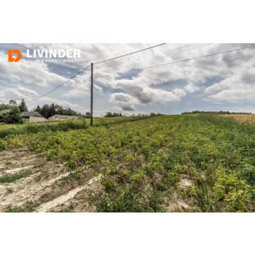 Działka rolna Minoga sprzedam, pow. 19 000 m2  (1.9ha) - zdjęcie 3