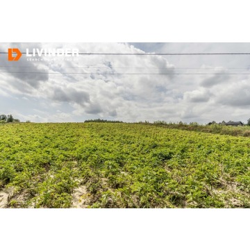 Działka rolna Minoga sprzedam, pow. 19 000 m2  (1.9ha) - zdjęcie 1